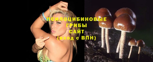 тгк Балахна