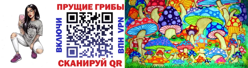 Купить  Радужный  Псилоцибиновые грибы GOLDEN TEACHER 