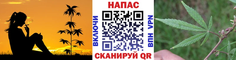 Купить  Радужный  Конопля SATIVA & INDICA 